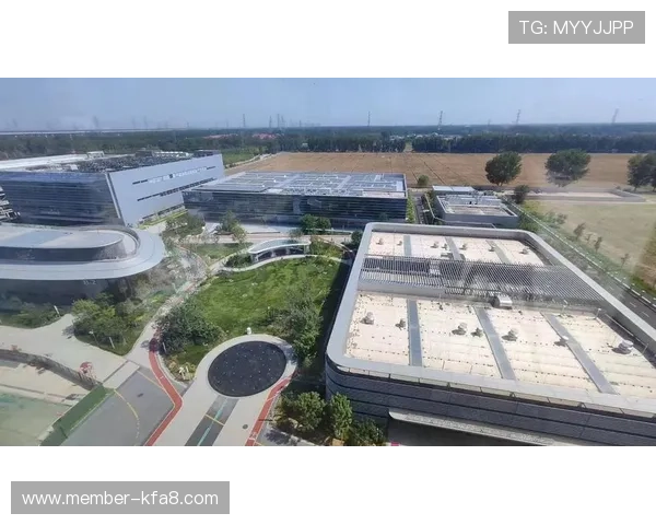 利来国际K8集团未来发展战略与创新布局助力行业引领与持续成长